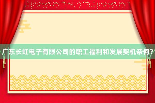 广东长虹电子有限公司的职工福利和发展契机奈何？