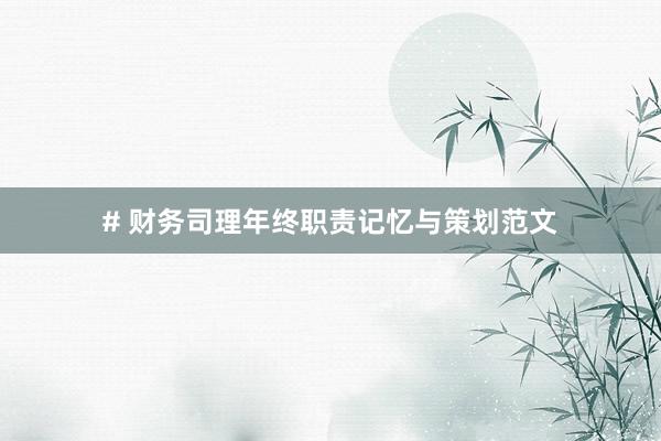 # 财务司理年终职责记忆与策划范文